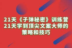 （10209期）21天《子弹秘密》训练营，21天学到顶尖文案大师的策略和技巧