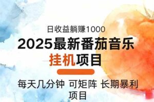 （16491期）2025年最新番茄音乐人挂机项目，每天几分钟，月入1000＋，可矩阵，一台…