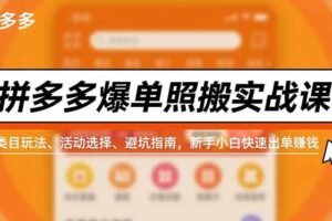 （16838期）拼多多爆单照搬实战课，类目玩法、活动选择、避坑指南，新手小白快速出单赚钱