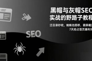 （17125期）黑帽与灰帽SEO实战的野路子教程：泛目录秒收，蜘蛛池搭桥，霸屏截流，7天抢占首页暴利词